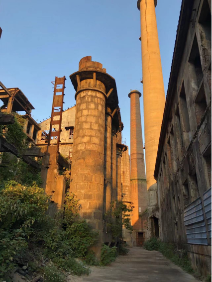 追寻榨季传统畅游十处厂房广东省国营紫坭糖厂建厂六十八周年纪念日